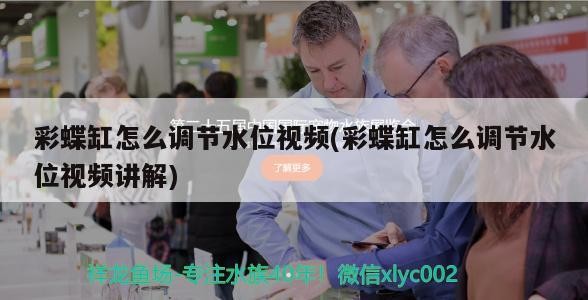 彩蝶缸怎么調(diào)節(jié)水位視頻(彩蝶缸怎么調(diào)節(jié)水位視頻講解)