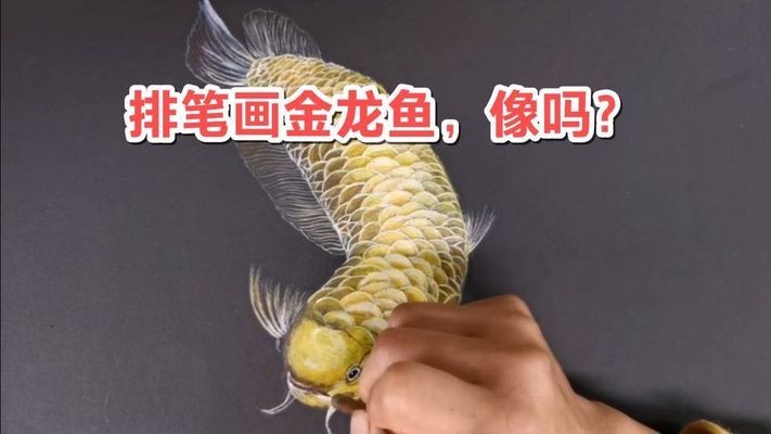 高要市魚癡魚醉水族店（高要市魚癡魚醉水族店電話號碼）