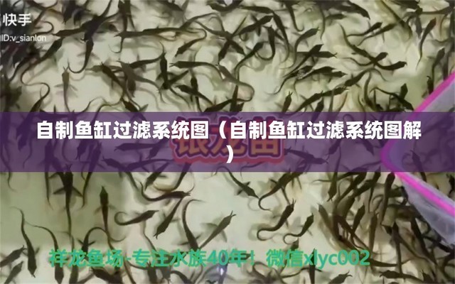 南京市雨花臺區逍遙水族館（南京逍遙旅游）