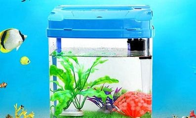 過濾的魚缸一般多久換一次水：過濾的魚缸一般兩周換一次水嗎？ 過濾的魚缸一般多久換一次水：過濾的魚缸一般兩周換一次水嗎？ 魚缸百科 第3張