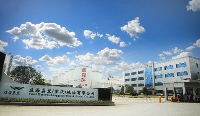 薛城區江湖船說水族館 全國水族館企業名錄 第1張 薛城區江湖船說水族館 薛城區江湖船說水族館 全國水族館企業名錄 第1張