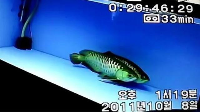 如皋市可麗愛水族生活館（如皋市可麗愛水族生活館地址）