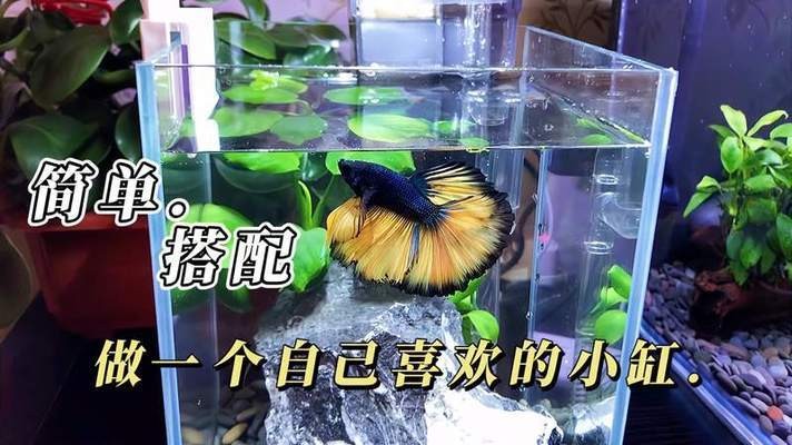 南雄市雄州街道樂(lè)魚(yú)兒生態(tài)水族館（南雄市雄州街道樂(lè)魚(yú)兒生態(tài)水族館電話號(hào)碼）