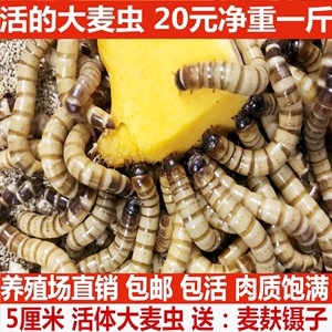 杭州蕭山龍龍水族器材商店（杭州蕭山龍龍水族器材商店地址） 杭州蕭山龍龍水族器材商店（杭州蕭山龍龍水族器材商店地址） 全國(guó)水族館企業(yè)名錄 第1張