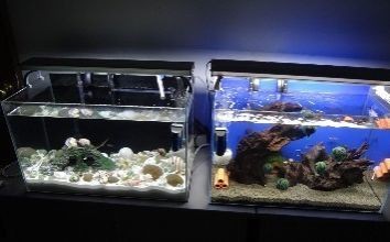 淡水魚缸水渾濁的原因和解決方法:淡水魚缸水渾濁的原因及解決方案 魚缸百科 第3張 淡水魚缸水渾濁的原因和解決方法:淡水魚缸水渾濁的原因及解決方案 淡水魚缸水渾濁的原因和解決方法:淡水魚缸水渾濁的原因及解決方案 魚缸百科 第3張