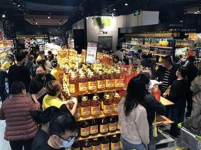 金龍魚位置