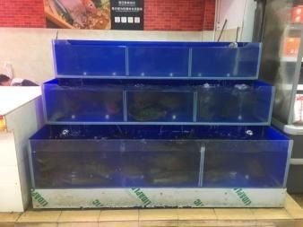 自制海鮮池的注意事項：海鮮養殖與疾病防治 自制海鮮池的注意事項：海鮮養殖與疾病防治 魚缸百科 第1張