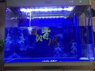 德克魚缸和彩蝶魚缸哪個好？：德克魚缸與彩蝶魚缸的區別 德克魚缸和彩蝶魚缸哪個好？：德克魚缸與彩蝶魚缸的區別 魚缸百科 第1張