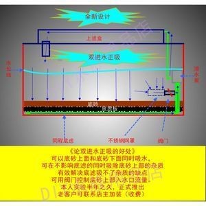 魚缸底砂的選擇標準：底濾魚缸底砂的選擇標準