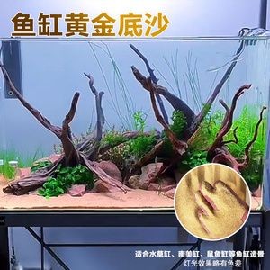 狗頭魚魚缸底色和背景顏色選擇：狗頭魚的魚缸底色和背景顏色的選擇