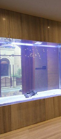 麗江魚缸批發市場
