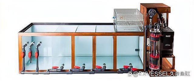 久鼎魚缸官方旗艦店 龍魚百科 第1張 久鼎魚缸官方旗艦店 久鼎魚缸官方旗艦店 龍魚百科 第1張