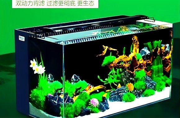 健康水族是雜牌嗎知乎 健康水族是雜牌嗎知乎 全國水族館企業(yè)名錄 第3張