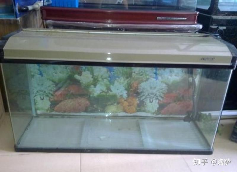 健康水族是雜牌嗎知乎 健康水族是雜牌嗎知乎 全國水族館企業(yè)名錄 第1張