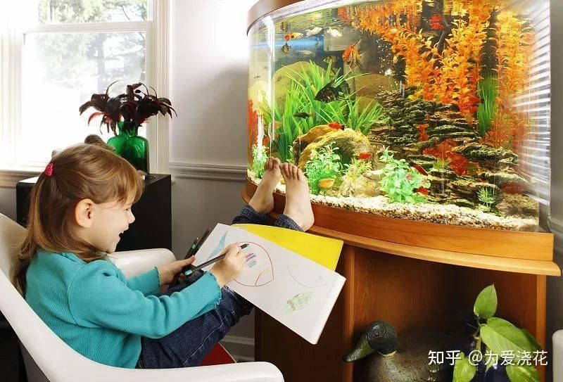 南充魚缸定做 南充魚缸定做 全國水族館企業名錄 第3張