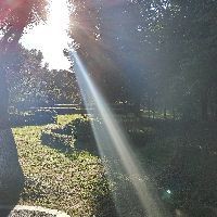 養(yǎng)孔雀魚不死的小竅門
