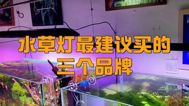 吉印水草燈是雜牌還是名牌