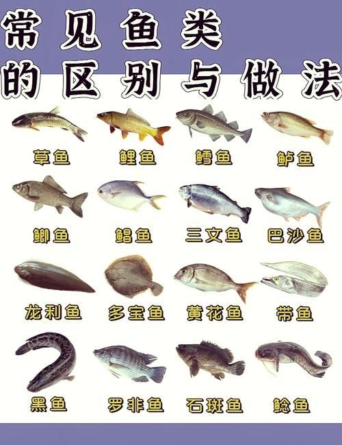公魚和母魚配對圖片