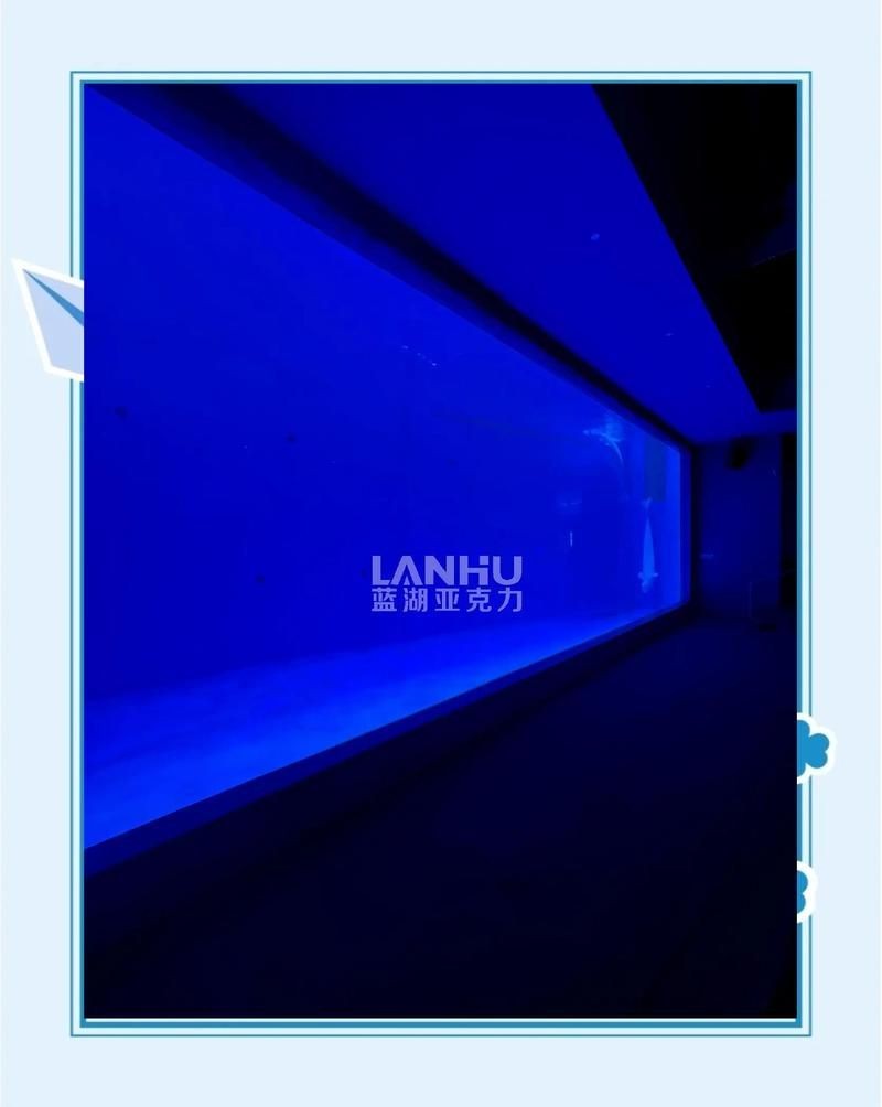 佛山魚缸定做 佛山魚缸定做 全國(guó)水族館企業(yè)名錄 第3張