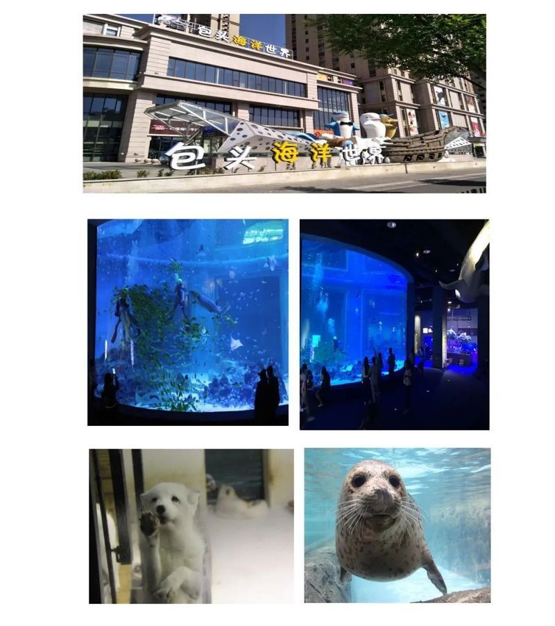 包頭水族館 包頭水族館 全國水族館企業(yè)名錄 第1張