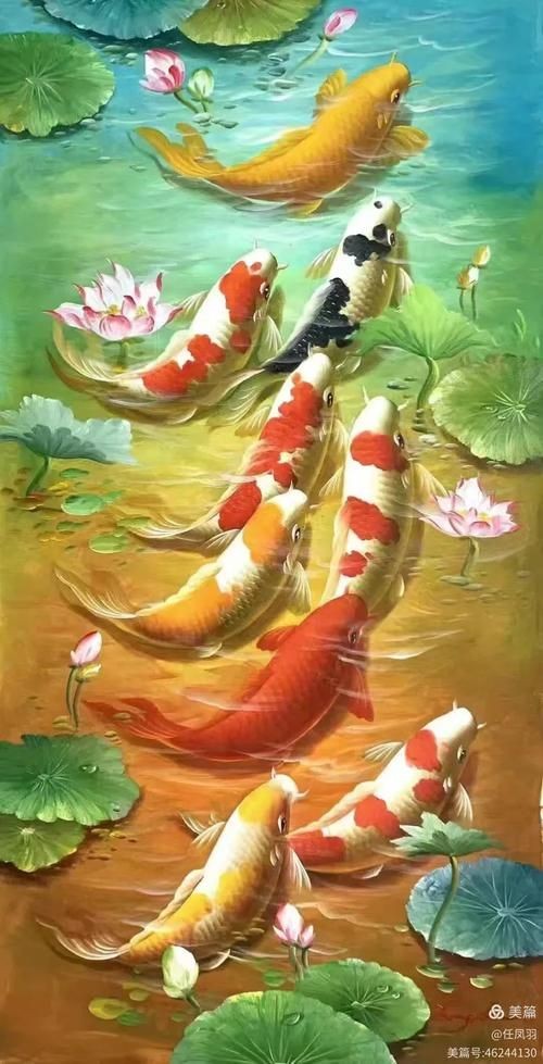 過背金龍魚的養(yǎng)護建議（養(yǎng)殖金龍魚需要注意哪些問題）
