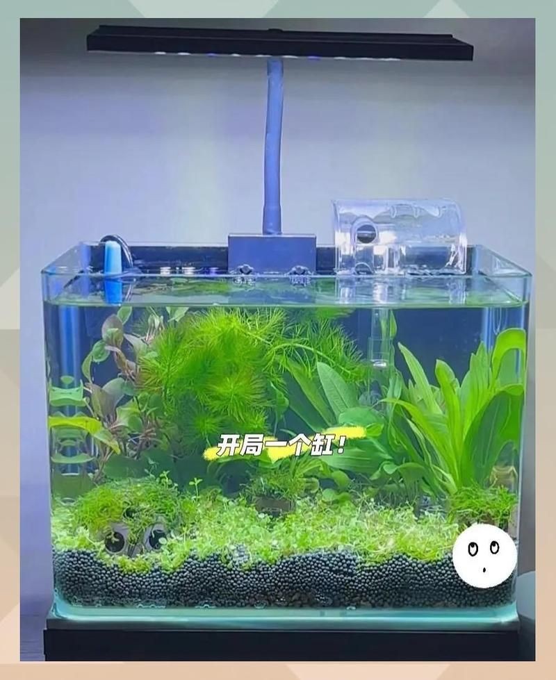 吉印魚缸水族箱最簡單三個步驟 全國水族館企業名錄 第3張 吉印魚缸水族箱最簡單三個步驟 吉印魚缸水族箱最簡單三個步驟 全國水族館企業名錄 第3張