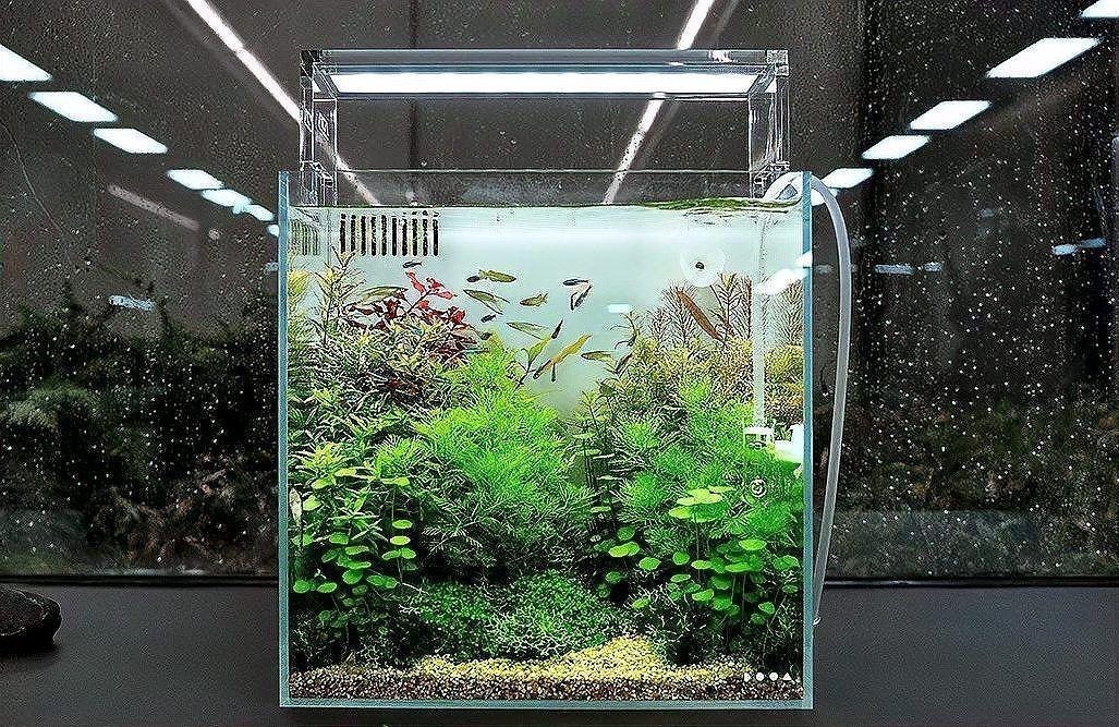 吉印魚缸水族箱最簡單三個步驟 全國水族館企業名錄 第9張 吉印魚缸水族箱最簡單三個步驟 吉印魚缸水族箱最簡單三個步驟 全國水族館企業名錄 第9張