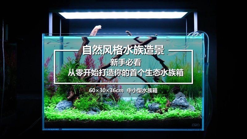 吉印魚缸水族箱最簡單三個步驟 全國水族館企業名錄 第11張 吉印魚缸水族箱最簡單三個步驟 吉印魚缸水族箱最簡單三個步驟 全國水族館企業名錄 第11張