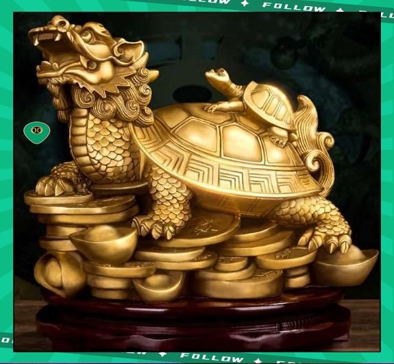 烏龜最旺什么屬相