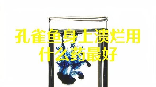 孔雀魚身上發(fā)白腐爛怎么治療