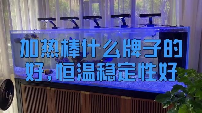 加熱棒選森森還是創寧，森森vs創寧加熱棒，咋 加熱棒選森森還是創寧，森森vs創寧加熱棒，咋 全國水族館企業名錄 第9張