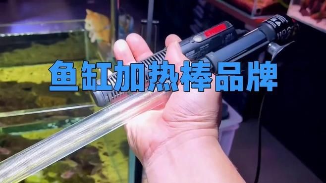 加熱棒選森森還是創寧，森森vs創寧加熱棒，咋 加熱棒選森森還是創寧，森森vs創寧加熱棒，咋 全國水族館企業名錄 第5張
