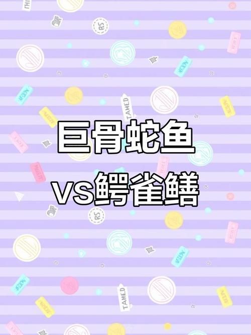 巨骨舌魚(yú)和鱷雀鱔的圖片，巨骨舌魚(yú)與鱷雀鱔同框，罕見(jiàn)雙雄