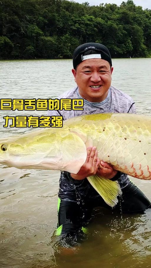 巨骨舌魚(yú)和鱷雀鱔的圖片，巨骨舌魚(yú)與鱷雀鱔同框，罕見(jiàn)雙雄