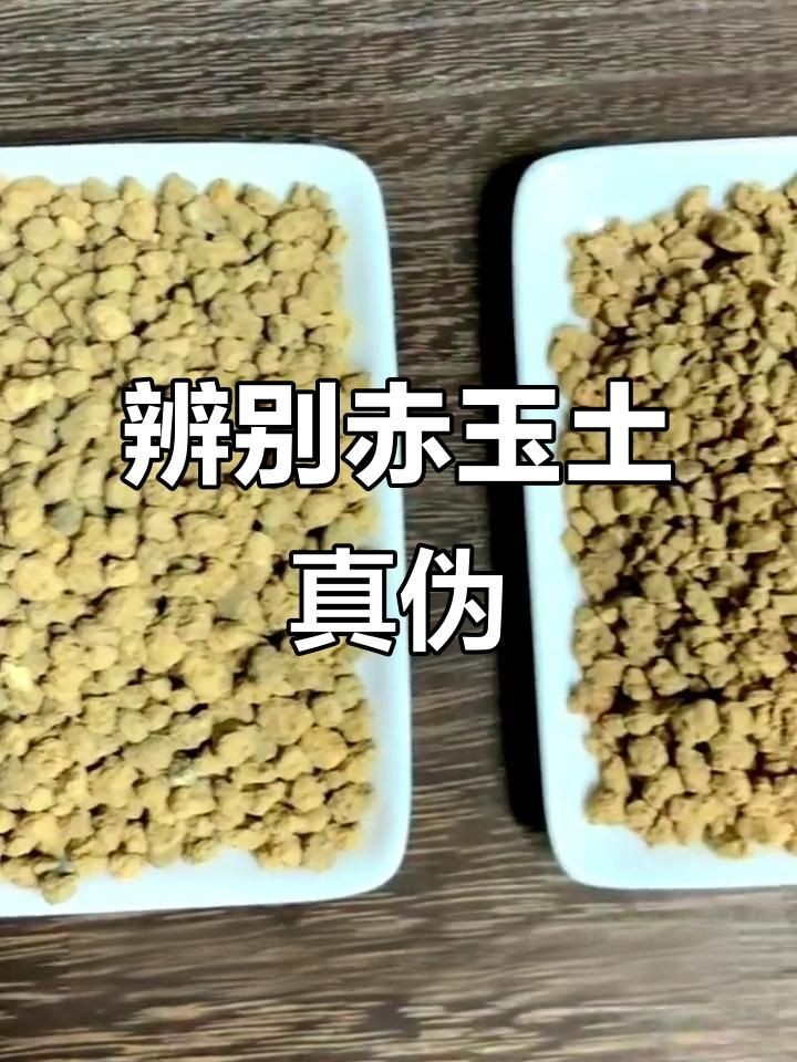 假赤玉土是什么做的，假赤玉土的真實(shí)成分與制作原料 假赤玉土是什么做的，假赤玉土的真實(shí)成分與制作原料 全國水族館企業(yè)名錄 第5張