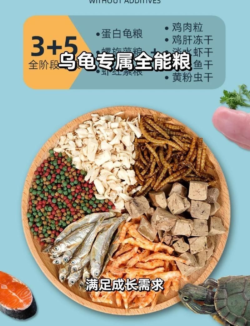 健康水族高鈣飼料測評，你可以按需選用，，直白風，健康水族高鈣飼料實測，吸睛風，解鎖！健康水族高鈣飼料真相，專業風，探秘健康水族高鈣飼料品質