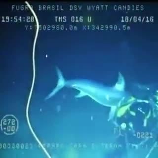 劍魚的劍是鼻子嗎，幾種不同風格的一句短標題供你參考，，疑問風，劍魚之‘劍’實為鼻子乎？，科普風，揭秘，劍魚的劍竟是鼻子！，好奇風，劍魚那把‘劍’