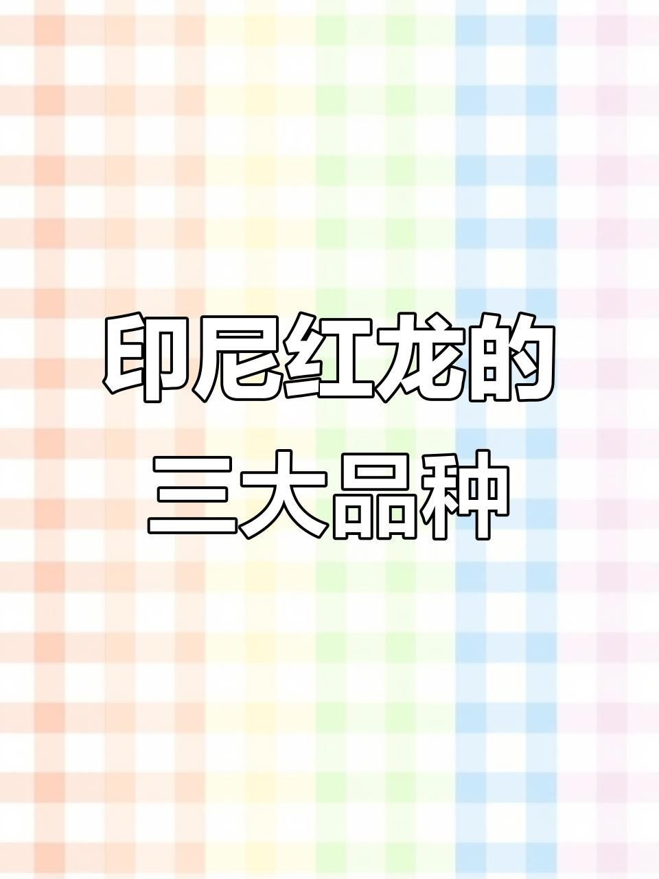 印尼紅龍哪個品種好，幾種不同風(fēng)格的簡短標(biāo)題供你參考，，印尼紅龍優(yōu)選品種解析，探尋印尼紅龍佳品品種，印尼