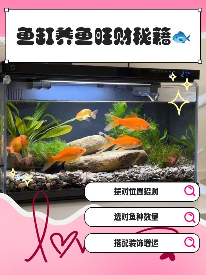 76年屬龍魚缸的擺放位置，你可以按需選擇，，76年屬龍者魚缸佳位指南，76屬龍人魚缸擺哪旺運？，揭秘76年