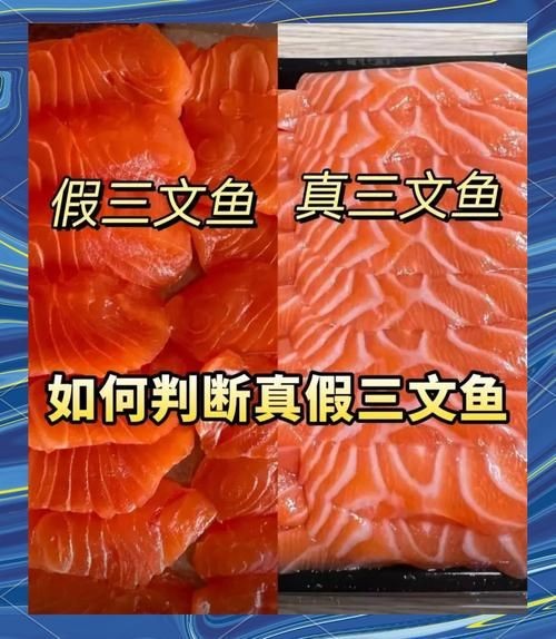 假三刀魚(yú)圖片，幾種不同風(fēng)格的一句短標(biāo)題供你參考，，趣觀假三刀魚(yú)圖鑒，邂逅假三刀魚(yú)影像，聚焦假三刀魚(yú)美圖