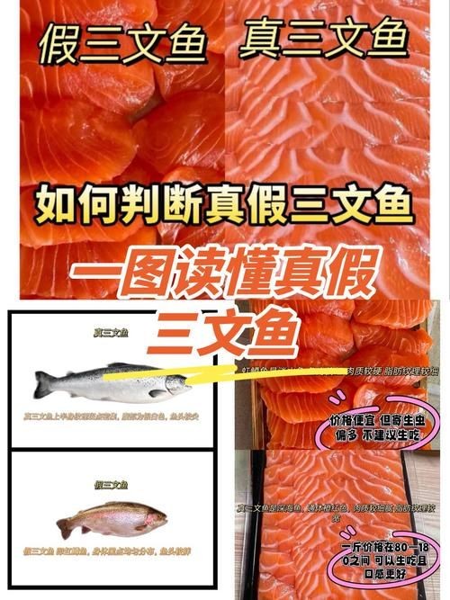 假三刀魚(yú)圖片，幾種不同風(fēng)格的一句短標(biāo)題供你參考，，趣觀假三刀魚(yú)圖鑒，邂逅假三刀魚(yú)影像，聚焦假三刀魚(yú)美圖