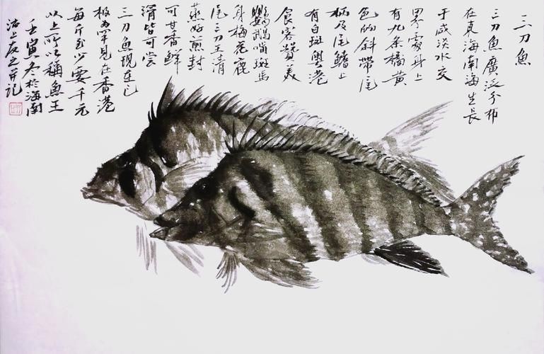 假三刀魚(yú)圖片，幾種不同風(fēng)格的一句短標(biāo)題供你參考，，趣觀假三刀魚(yú)圖鑒，邂逅假三刀魚(yú)影像，聚焦假三刀魚(yú)美圖