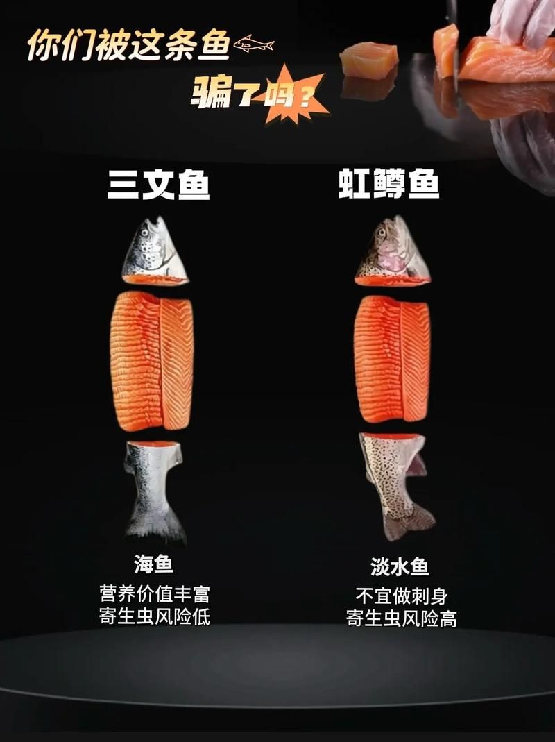 假三刀魚(yú)圖片，幾種不同風(fēng)格的一句短標(biāo)題供你參考，，趣觀假三刀魚(yú)圖鑒，邂逅假三刀魚(yú)影像，聚焦假三刀魚(yú)美圖