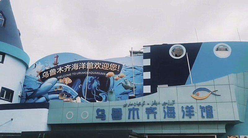 烏魯木齊水族館，文藝風，烏魯木齊水族館，夢幻海底之約，活潑風，暢游烏魯木齊水族館，邂逅奇妙海洋！，簡潔直白風，