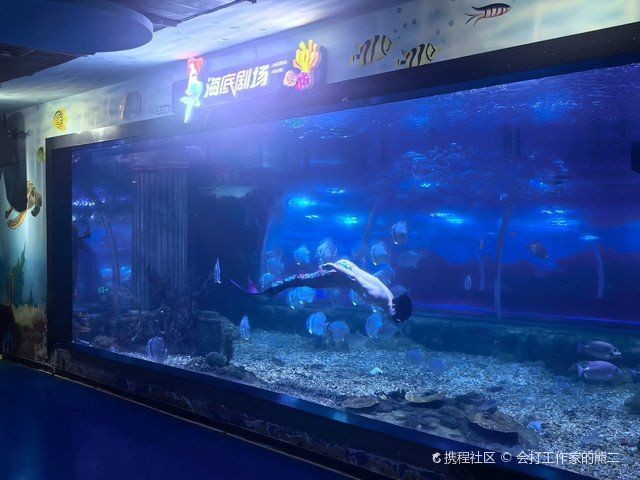 烏魯木齊水族館，文藝風，烏魯木齊水族館，夢幻海底之約，活潑風，暢游烏魯木齊水族館，邂逅奇妙海洋！，簡潔直白風，