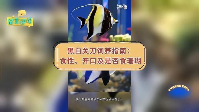 關(guān)刀魚(yú)吃什么飼料啊，刀魚(yú)適宜飼料揭秘 關(guān)刀魚(yú)吃什么飼料啊，刀魚(yú)適宜飼料揭秘 全國(guó)水族館企業(yè)名錄 第7張