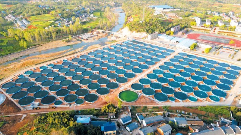 十堰魚缸批發市場，幾種不同風格的1句短標題示例，你可以按需選用，，直白型，十堰魚缸批發集散地，吸睛型，探秘十堰超全魚缸 十堰魚缸批發市場，幾種不同風格的1句短標題示例，你可以按需選用，，直白型，十堰魚缸批發集散地，吸睛型，探秘十堰超全魚缸 全國水族館企業名錄 第8張