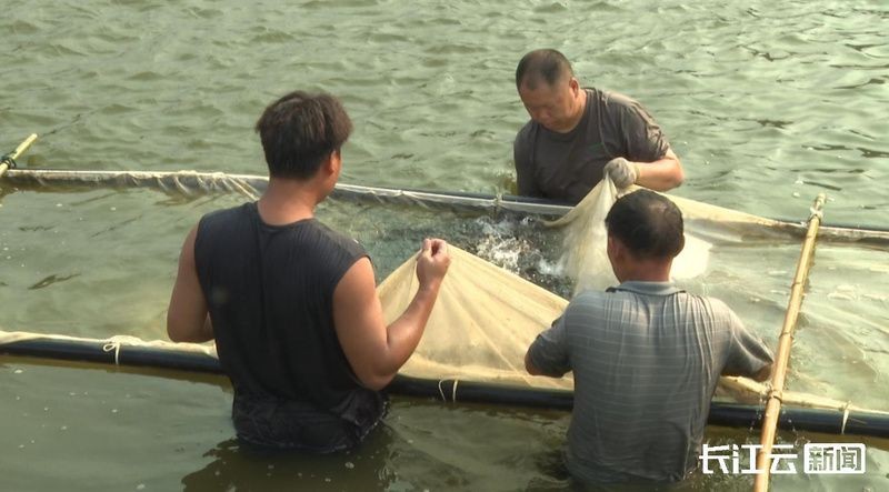 十堰魚缸批發市場，幾種不同風格的1句短標題示例，你可以按需選用，，直白型，十堰魚缸批發集散地，吸睛型，探秘十堰超全魚缸 十堰魚缸批發市場，幾種不同風格的1句短標題示例，你可以按需選用，，直白型，十堰魚缸批發集散地，吸睛型，探秘十堰超全魚缸 全國水族館企業名錄 第10張