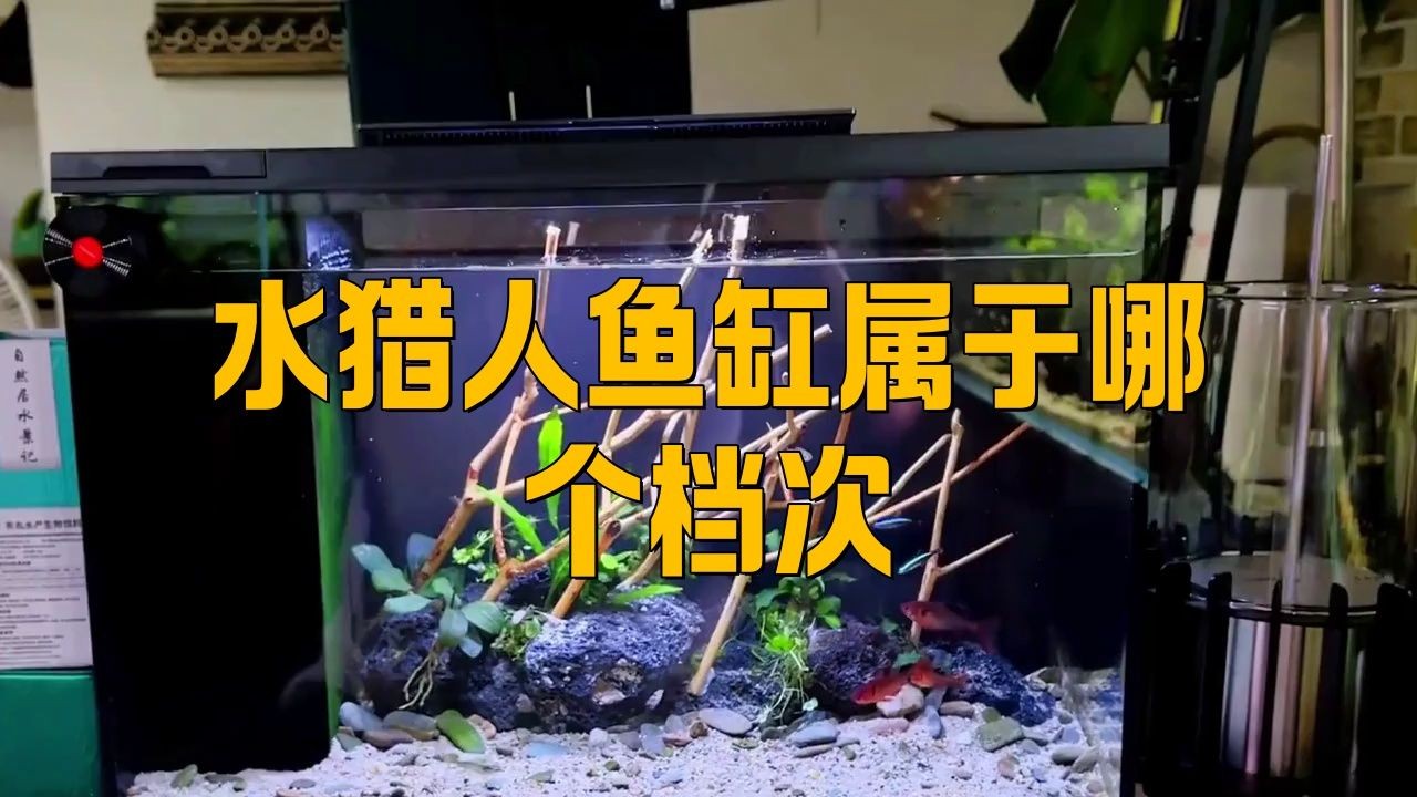 九鼎魚缸和水獵人哪個好，你可以按需選擇，，九鼎VS水獵人魚缸誰優？，九鼎與水獵人孰 九鼎魚缸和水獵人哪個好，你可以按需選擇，，九鼎VS水獵人魚缸誰優？，九鼎與水獵人孰 龍魚百科 第10張