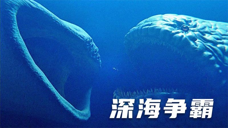 巨鯤vs巨齒鯊，你可以按需選用，，激戰(zhàn)！巨鯤對決巨齒鯊，巔峰較量，巨鯤×巨齒鯊，海中霸主之爭，巨鯤VS巨齒 巨鯤vs巨齒鯊，你可以按需選用，，激戰(zhàn)！巨鯤對決巨齒鯊，巔峰較量，巨鯤×巨齒鯊，海中霸主之爭，巨鯤VS巨齒 龍魚百科 第5張